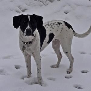 Meet your Posher, Ann